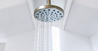 spa like filtered shower heads
