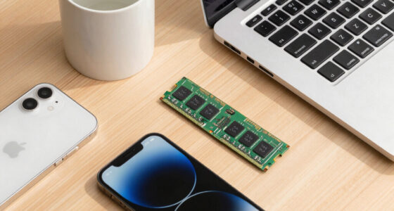 Apple Is Reaching for Chinese Memory. Europe Doesn’t Even Have That Option.