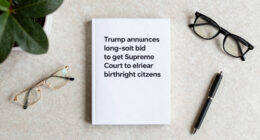 Trump announces long-shot bid to get Supreme Court to rehear birthright citizenship case